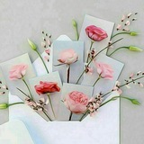 Telegram profile photo for ♡يا ٲم البنين♡