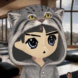 Telegram profile photo for Manul Capital