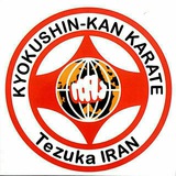 Telegram profile photo for کیوکوشین تزوکا IKO-4☉ بقایی☉