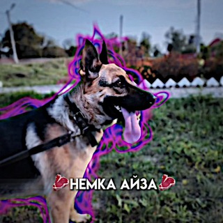 Telegram profile photo for приход от айзы🥩