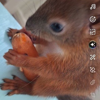 Telegram group profile photo for ЧАТ - БУРМАЛДА АУТИСТОВ