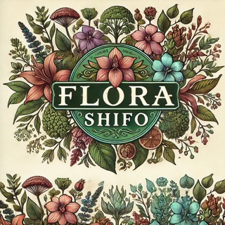 Telegram profile photo for flora_shifo