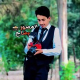 Telegram profile photo for المصور وضاح