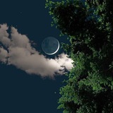 Telegram profile photo for بَسْمَـ𓂆ـليَّات.