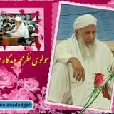 Telegram profile photo for حامیان مولانا نظر محمد دیدگاه حفظه الله