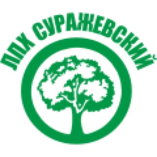 Telegram profile photo for Тюльпаны - Саженцы Владивосток