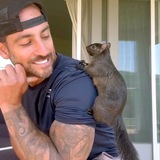 Telegram profile photo for Save The Squirrels