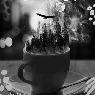 Telegram profile photo for Winter شتاء