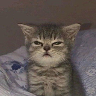 Telegram profile photo for ищу инет друзей