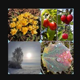 Telegram profile photo for π²π³π§ββ NaturBotschaften π§ββπ³π²