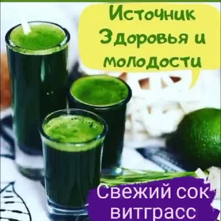 Telegram profile photo for Эко-теплица "Vita Organic"