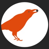 Telegram profile photo for Rabenkrähe