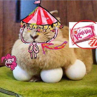 Telegram profile photo for Ксивато⁴²