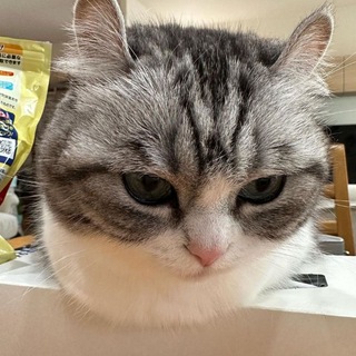 Telegram profile photo for ᴀдᴀᴨᴛᴇᴩ