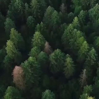 Telegram profile photo for ТАМГА | Обереги Сибири