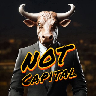 Telegram profile photo for Not Capital