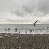 Telegram profile photo for خَربشَة