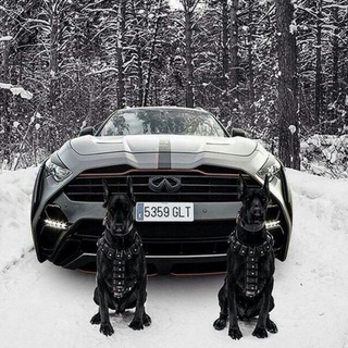 Telegram profile photo for 🇷🇺 АВТОРЫНОК 🇷🇺 !!! ПРОБЛЕМНЫХ-АВТО-РФ 🇷🇺 ☑️☑️☑️
