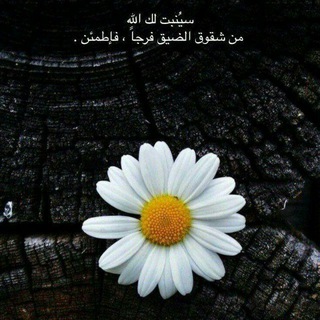 Telegram profile photo for ملجئي.