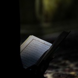 Telegram profile photo for والقلم