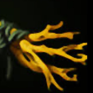 Telegram profile photo for Logovopudge | Dota 2