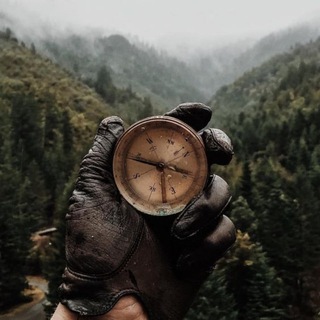 Telegram profile photo for Next level Саморазвитие