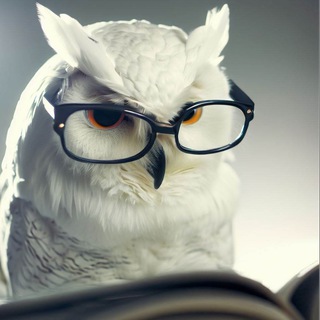 Telegram profile photo for СОВА