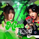 Telegram profile photo for 💚𝙸𝙽𝙵𝙾 𝚖𝚘𝚘𝚗 𝚏𝚕𝚘𝚘𝚍💚