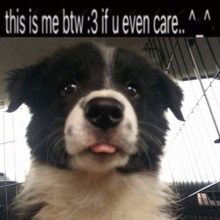 Telegram profile photo for Eɴᴅᴇʀ ɪɴ Wᴏɴᴅᴇʀʟᴀɴᴅ