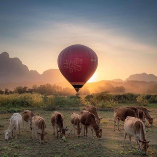 Telegram profile photo for Привет Лаос 🇱🇦 Вьентьян, ВангВьенг | Laos, Vientiane, VangVieng