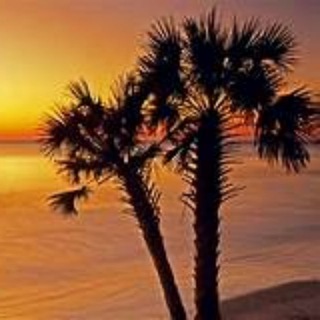 Telegram profile photo for South Carolina Patriots