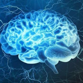 Telegram profile photo for CNS and special senses