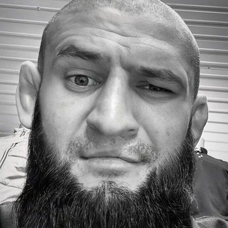 Telegram profile photo for реакции пж