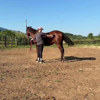 Telegram profile photo for ребенок с жеребенком