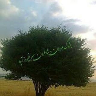 Telegram profile photo for اخبار سرفیروزآباد