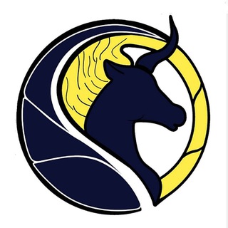 Telegram profile photo for Apex Chain