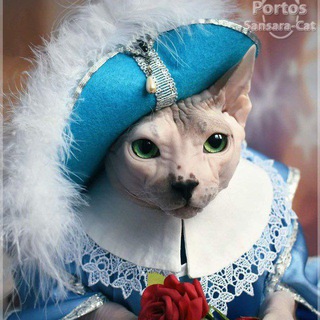 Telegram profile photo for portos.sansara.cat