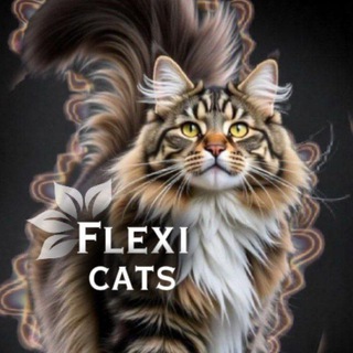 Telegram profile photo for Flexi cats