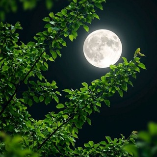 Telegram profile photo for كتابات اشعار خواطر بايوات