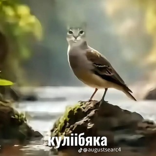 Telegram profile photo for Отзывы монако