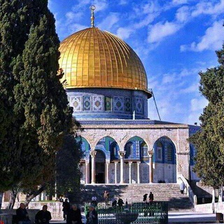 Telegram profile photo for نفحات قرآنيه (نقرأ لنْرقى)