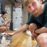 Telegram profile photo for ALPTCH.LIVE