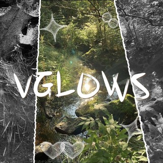 Telegram profile photo for VGL♡WS: CLOSE.