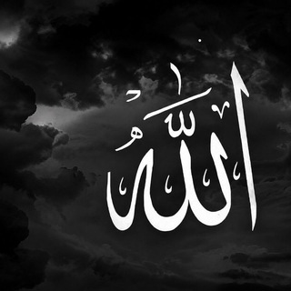 Telegram profile photo for محمد