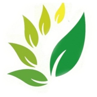 Telegram profile photo for Gangga🇮🇳Индийский магазин🌿