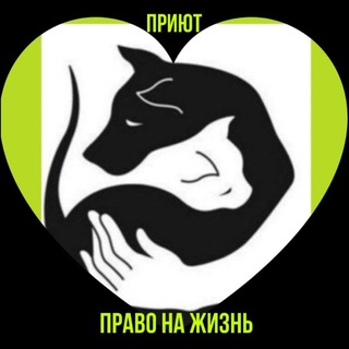 Telegram profile photo for Мини приют - передержка " Право на Жизнь" г.Кемерово