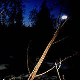 Telegram profile photo for ŕᒐ𐒋𝓮𝕙 (closedforever)