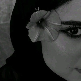 Telegram profile photo for مياسين