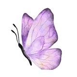 Telegram profile photo for ⩇⩇ ꜥ 💭 kelay's garden 𖥔 ࣪˖ 💒 ᐢ..ᐢ
