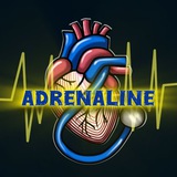 Telegram profile photo for English with Adrenaline team (Pre 10)